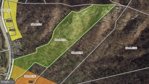 31 ORCHARD RD, LOVINGSTON, Virginia 22949, 5 Bedrooms Bedrooms, ,2 BathroomsBathrooms,Residential,For Sale,31 ORCHARD RD,VANL2000638 MLS # VANL2000638