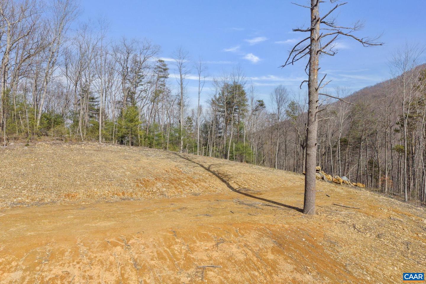 48 ACRES BLACKWELLS HOLLOW RD, CROZET, Virginia 22932, ,Land,For Sale,48 ACRES BLACKWELLS HOLLOW RD,674074 MLS # 674074