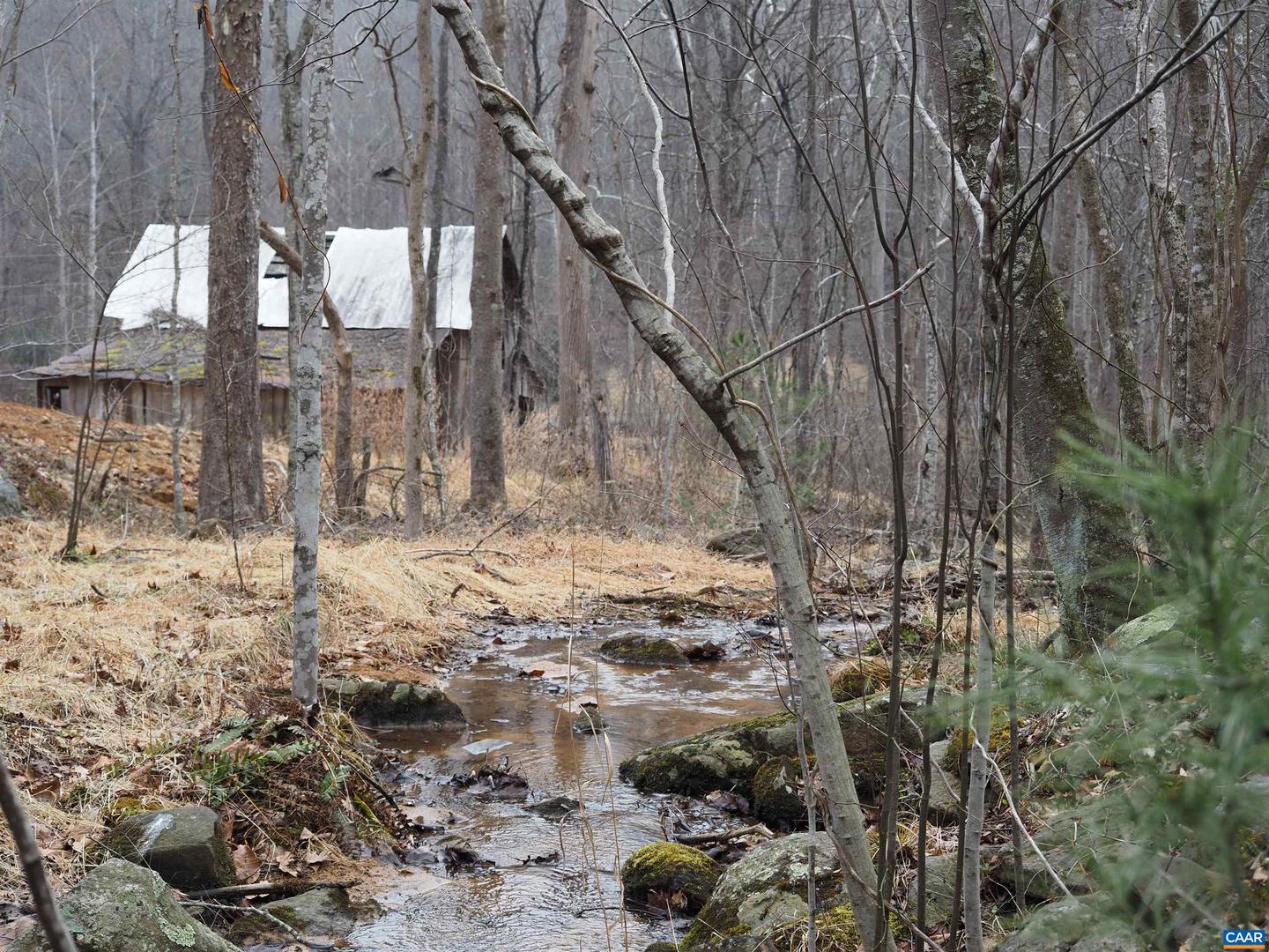 48 ACRES BLACKWELLS HOLLOW RD, CROZET, Virginia 22932, ,Land,For Sale,48 ACRES BLACKWELLS HOLLOW RD,674074 MLS # 674074