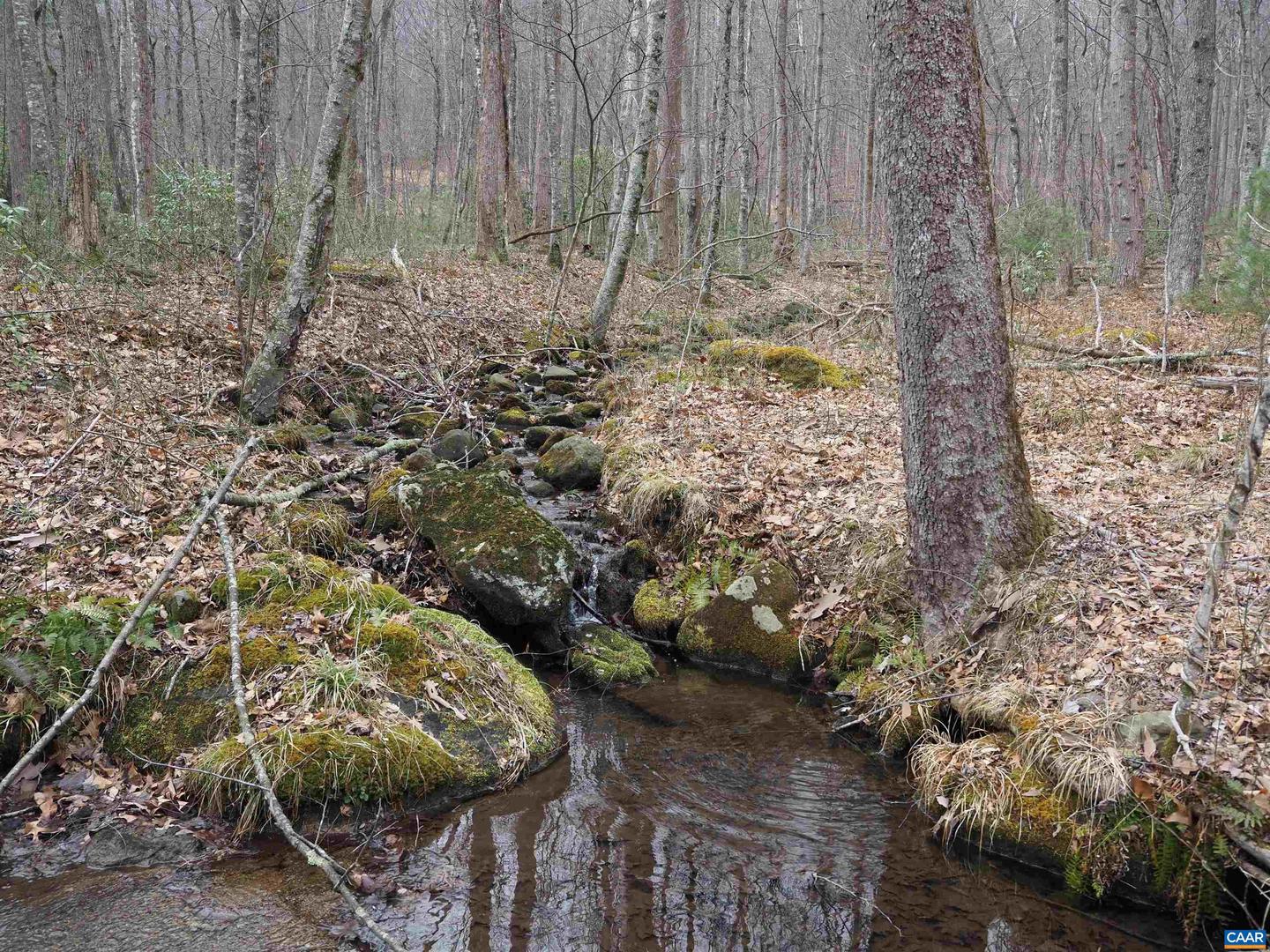 48 ACRES BLACKWELLS HOLLOW RD, CROZET, Virginia 22932, ,Land,For Sale,48 ACRES BLACKWELLS HOLLOW RD,674074 MLS # 674074