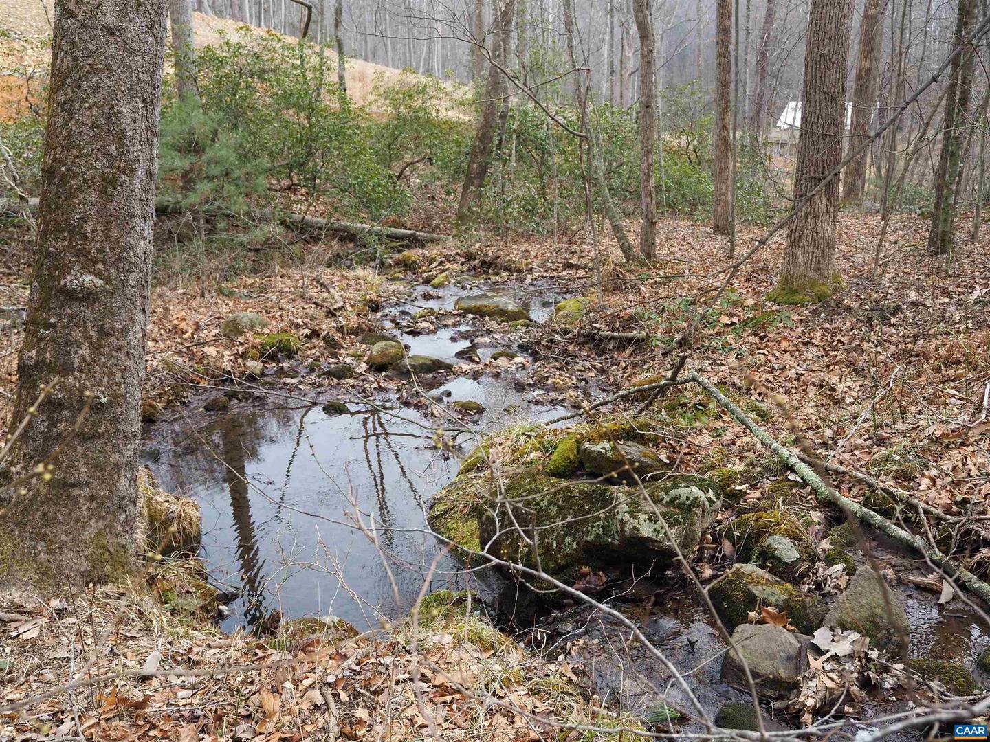 48 ACRES BLACKWELLS HOLLOW RD, CROZET, Virginia 22932, ,Land,For Sale,48 ACRES BLACKWELLS HOLLOW RD,674074 MLS # 674074