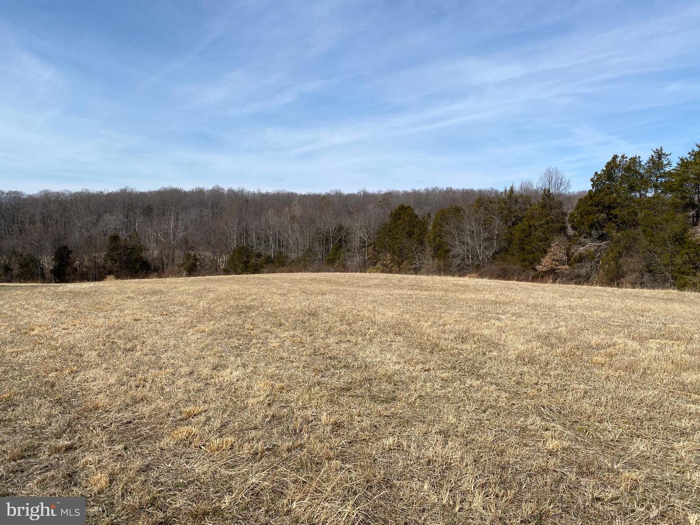 19197 WHITES FARM LN, CULPEPER, Virginia 22701, ,Land,For Sale,19197 WHITES FARM LN,VACU2012882 MLS # VACU2012882