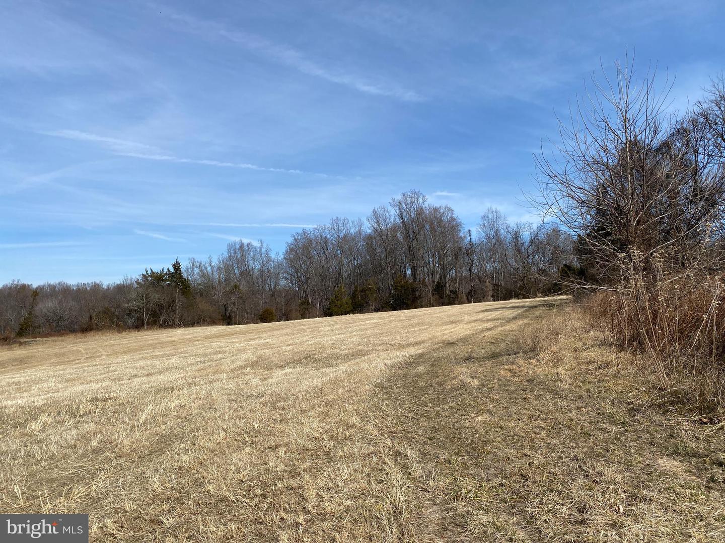 00 WHITES FARM LN, CULPEPER, Virginia 22701, ,Land,For Sale,00 WHITES FARM LN,VACU2012884 MLS # VACU2012884