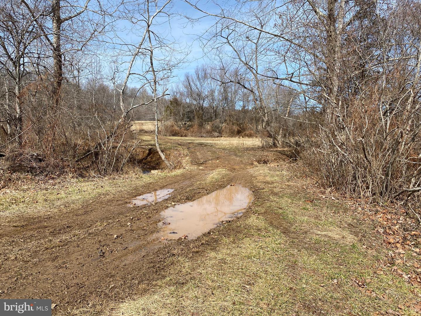 KIRTLEY TRL, CULPEPER, Virginia 22701, ,Land,For Sale,KIRTLEY TRL,VACU2012886 MLS # VACU2012886
