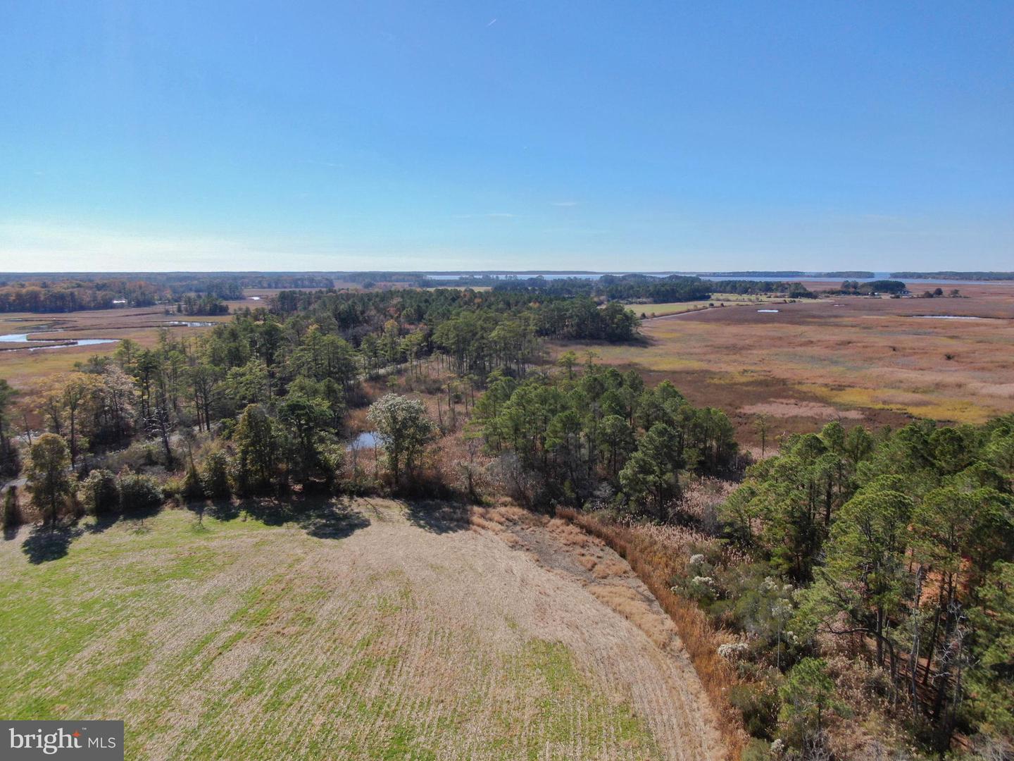 26297 PITTS CREEK RD, NEW CHURCH, Virginia 23415, ,Farm,For Sale,26297 PITTS CREEK RD,VAAC2002656 MLS # VAAC2002656