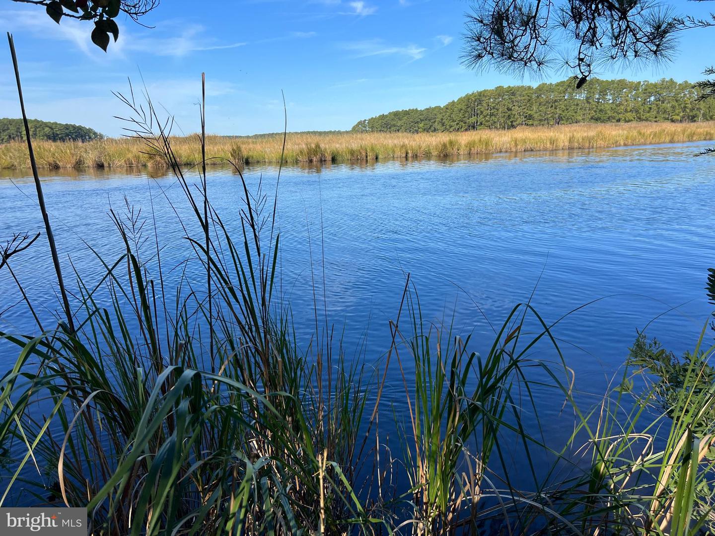 26297 PITTS CREEK RD, NEW CHURCH, Virginia 23415, ,Farm,For Sale,26297 PITTS CREEK RD,VAAC2002656 MLS # VAAC2002656