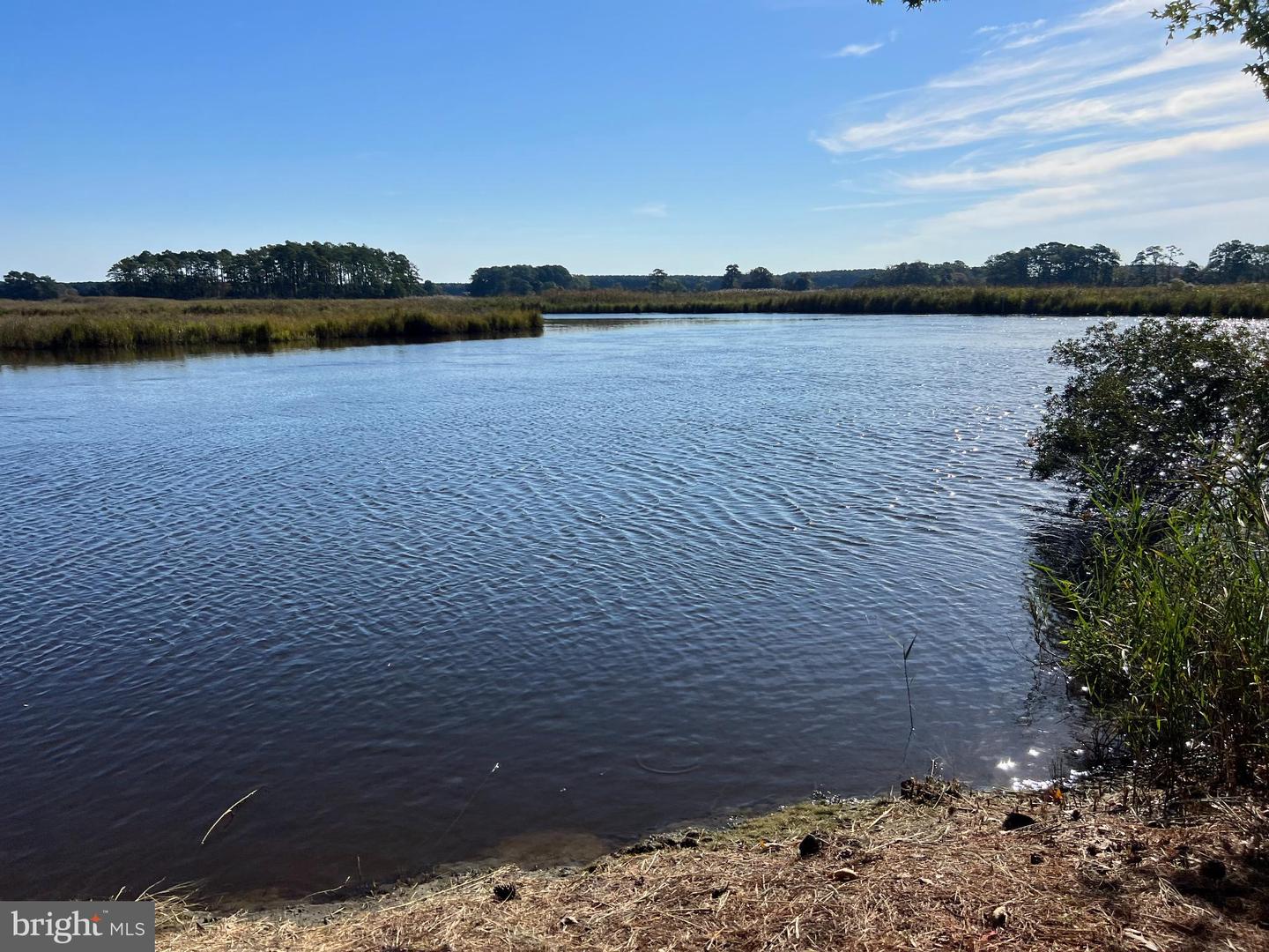 26297 PITTS CREEK RD, NEW CHURCH, Virginia 23415, ,Farm,For Sale,26297 PITTS CREEK RD,VAAC2002656 MLS # VAAC2002656