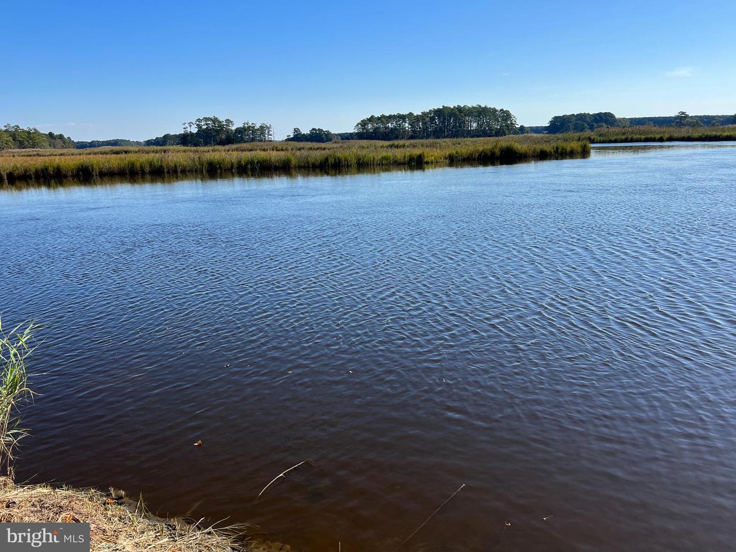 26297 PITTS CREEK RD, NEW CHURCH, Virginia 23415, ,Farm,For Sale,26297 PITTS CREEK RD,VAAC2002656 MLS # VAAC2002656