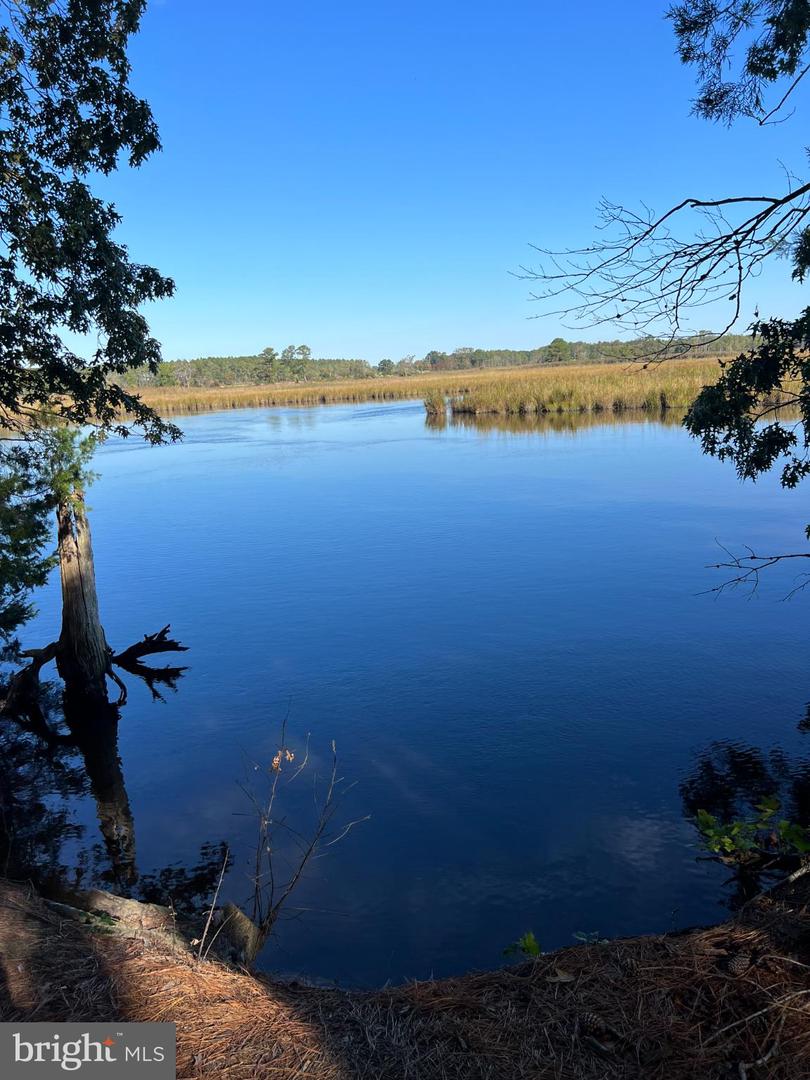 26297 PITTS CREEK RD, NEW CHURCH, Virginia 23415, ,Farm,For Sale,26297 PITTS CREEK RD,VAAC2002656 MLS # VAAC2002656