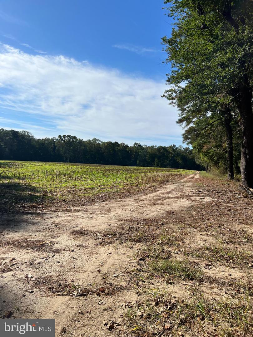 26297 PITTS CREEK RD, NEW CHURCH, Virginia 23415, ,Farm,For Sale,26297 PITTS CREEK RD,VAAC2002656 MLS # VAAC2002656