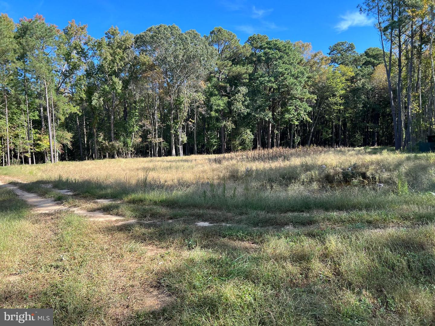 26297 PITTS CREEK RD, NEW CHURCH, Virginia 23415, ,Farm,For Sale,26297 PITTS CREEK RD,VAAC2002656 MLS # VAAC2002656