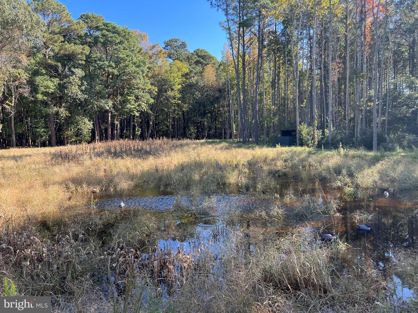 26297 PITTS CREEK RD, NEW CHURCH, Virginia 23415, ,Farm,For Sale,26297 PITTS CREEK RD,VAAC2002656 MLS # VAAC2002656