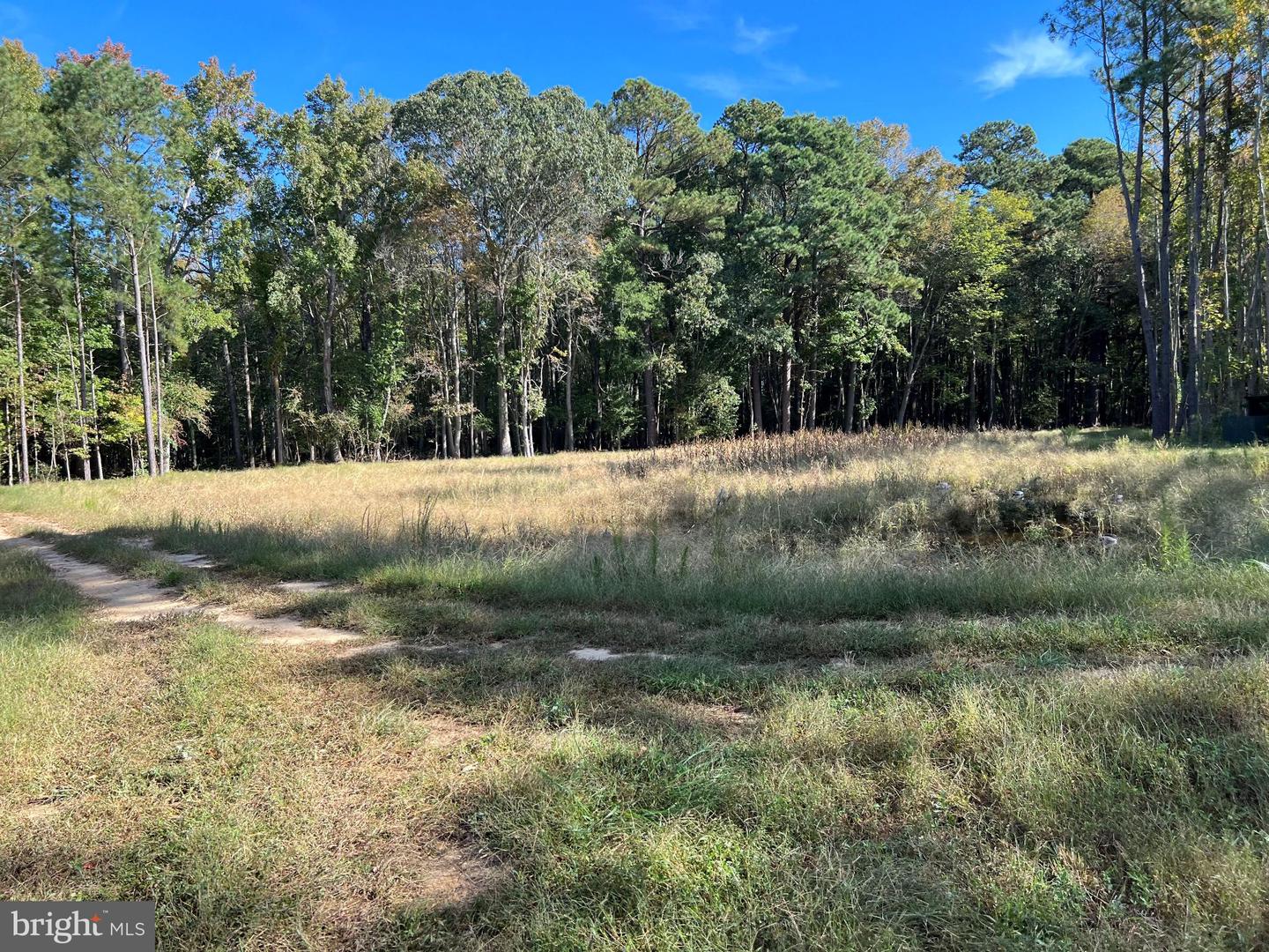 26297 PITTS CREEK RD, NEW CHURCH, Virginia 23415, ,Farm,For Sale,26297 PITTS CREEK RD,VAAC2002656 MLS # VAAC2002656