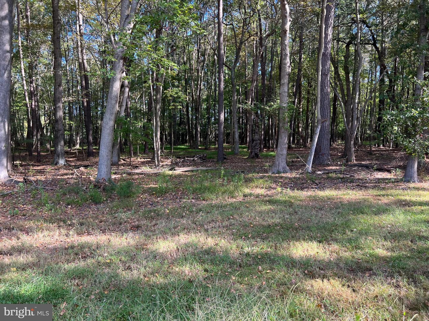 26297 PITTS CREEK RD, NEW CHURCH, Virginia 23415, ,Farm,For Sale,26297 PITTS CREEK RD,VAAC2002656 MLS # VAAC2002656