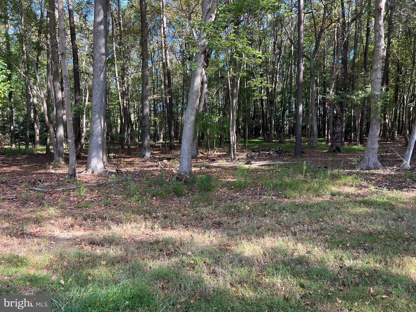 26297 PITTS CREEK RD, NEW CHURCH, Virginia 23415, ,Farm,For Sale,26297 PITTS CREEK RD,VAAC2002656 MLS # VAAC2002656