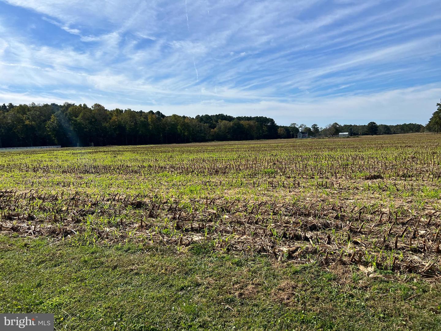 26297 PITTS CREEK RD, NEW CHURCH, Virginia 23415, ,Farm,For Sale,26297 PITTS CREEK RD,VAAC2002656 MLS # VAAC2002656