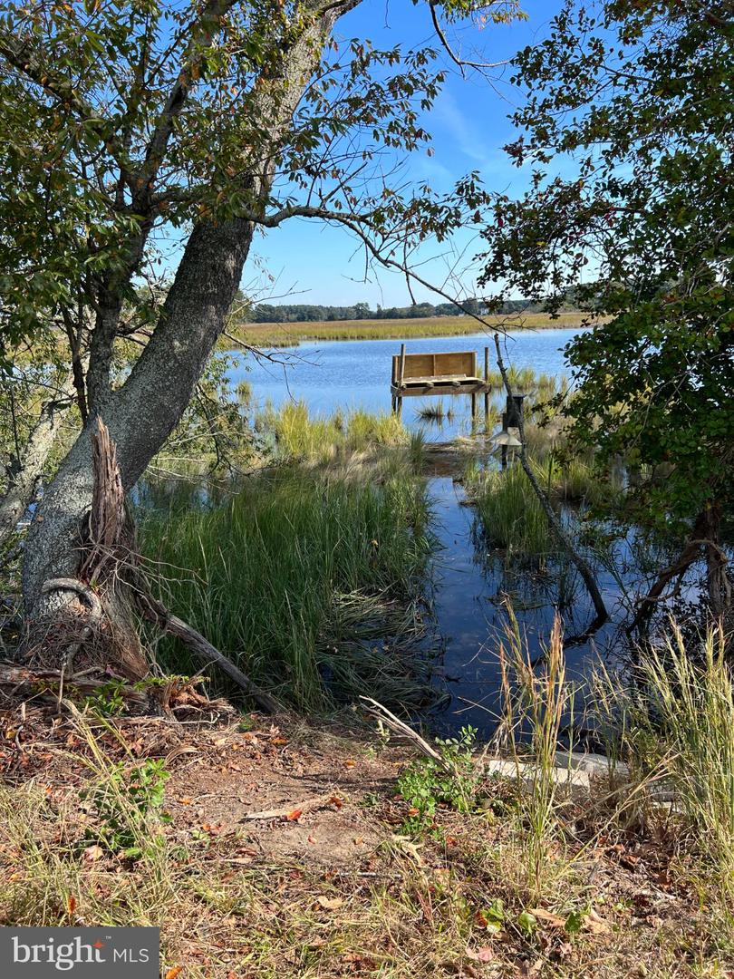 26297 PITTS CREEK RD, NEW CHURCH, Virginia 23415, ,Farm,For Sale,26297 PITTS CREEK RD,VAAC2002656 MLS # VAAC2002656