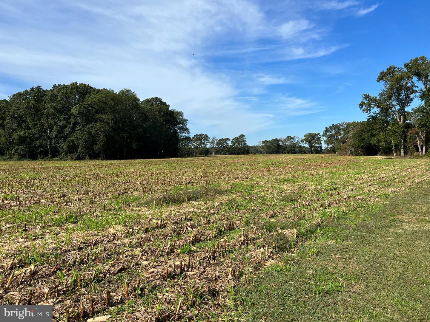 26297 PITTS CREEK RD, NEW CHURCH, Virginia 23415, ,Farm,For Sale,26297 PITTS CREEK RD,VAAC2002656 MLS # VAAC2002656