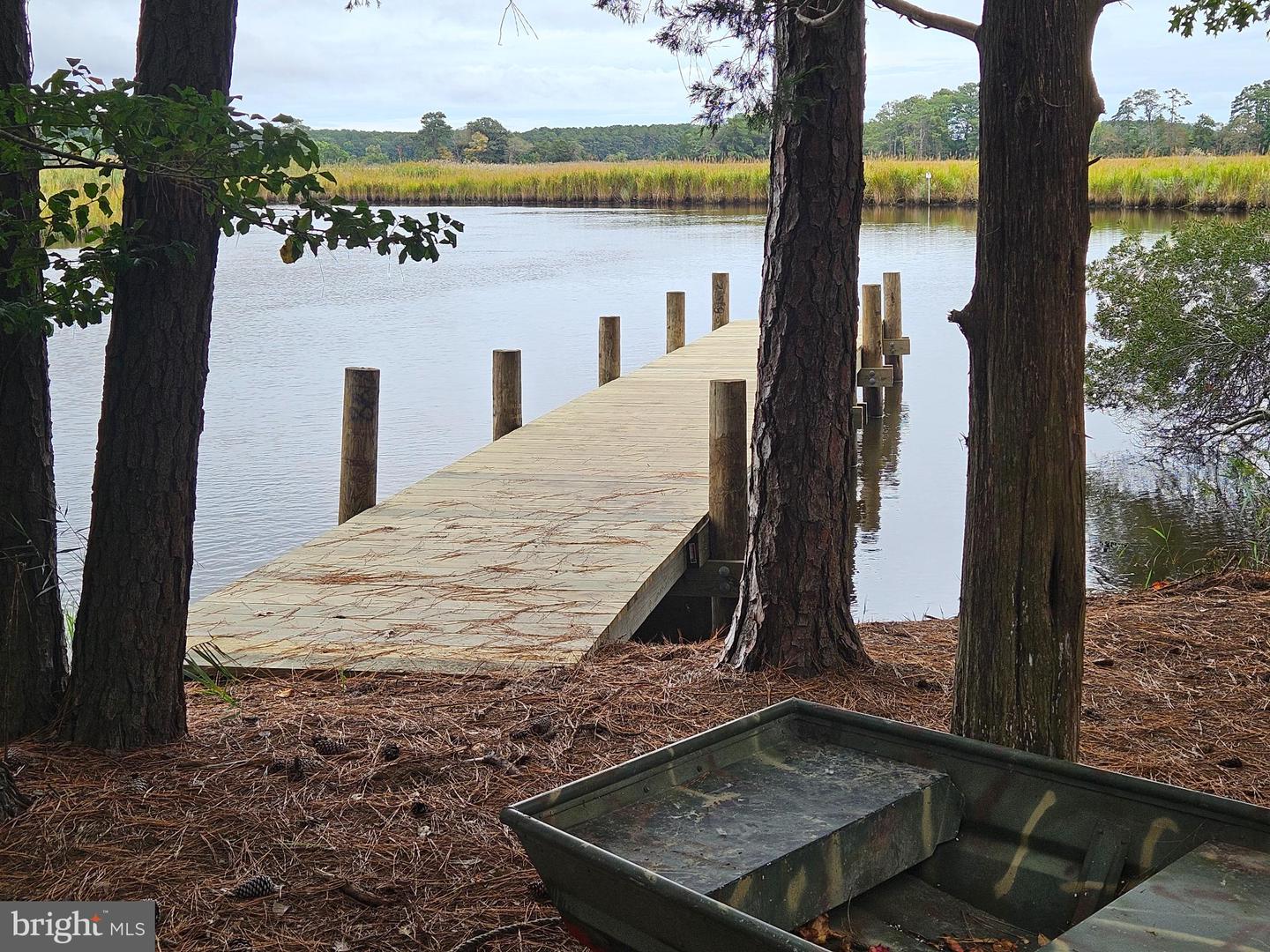 26297 PITTS CREEK RD, NEW CHURCH, Virginia 23415, ,Farm,For Sale,26297 PITTS CREEK RD,VAAC2002656 MLS # VAAC2002656