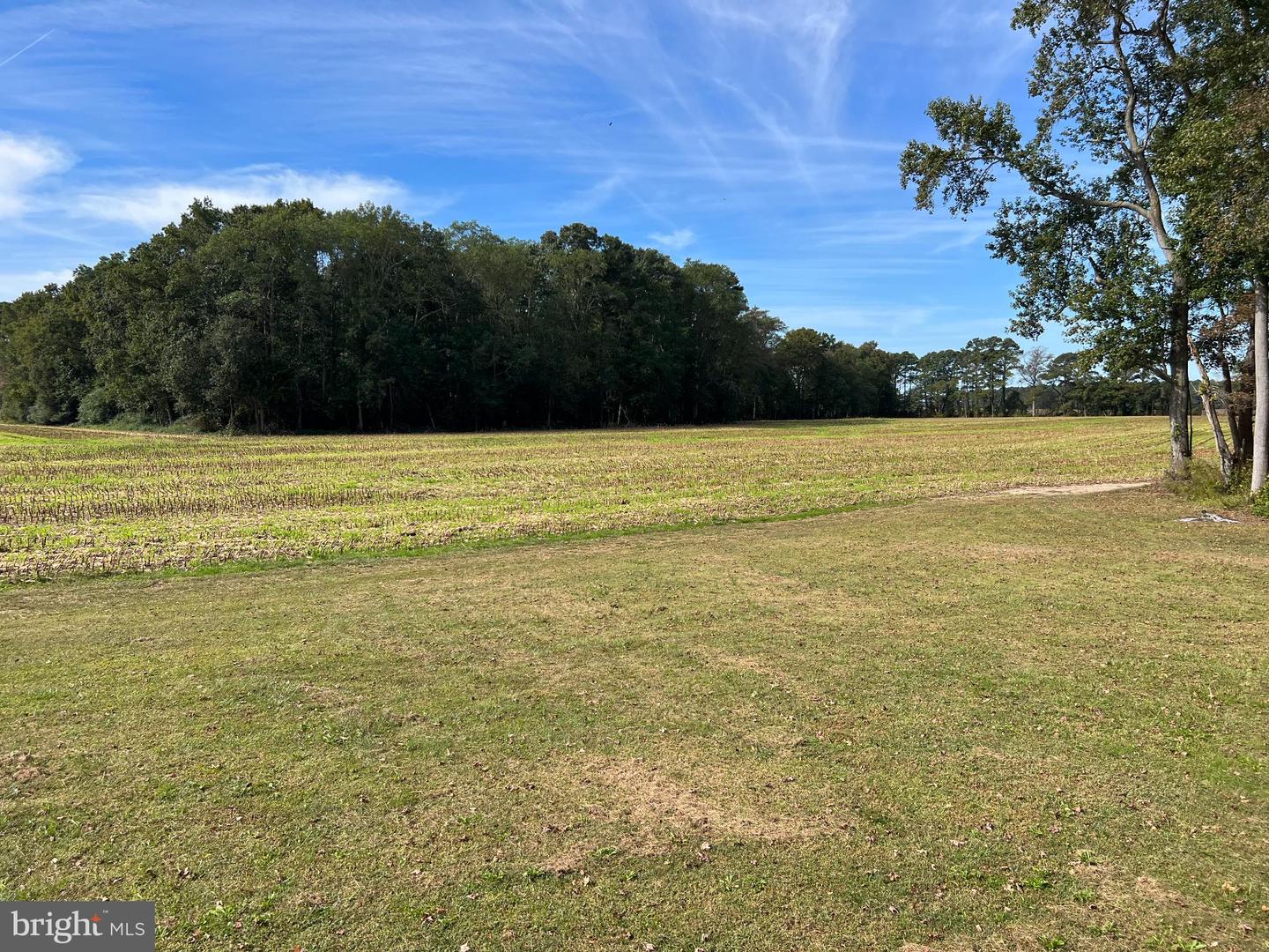 26297 PITTS CREEK RD, NEW CHURCH, Virginia 23415, ,Farm,For Sale,26297 PITTS CREEK RD,VAAC2002656 MLS # VAAC2002656