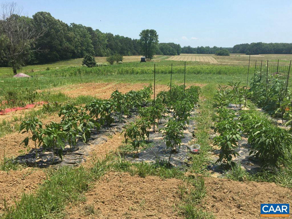 877 HOLLAND CREEK RD, LOUISA, Virginia 23093, 3 Bedrooms Bedrooms, ,3 BathroomsBathrooms,Residential,For Sale,877 HOLLAND CREEK RD,674091 MLS # 674091