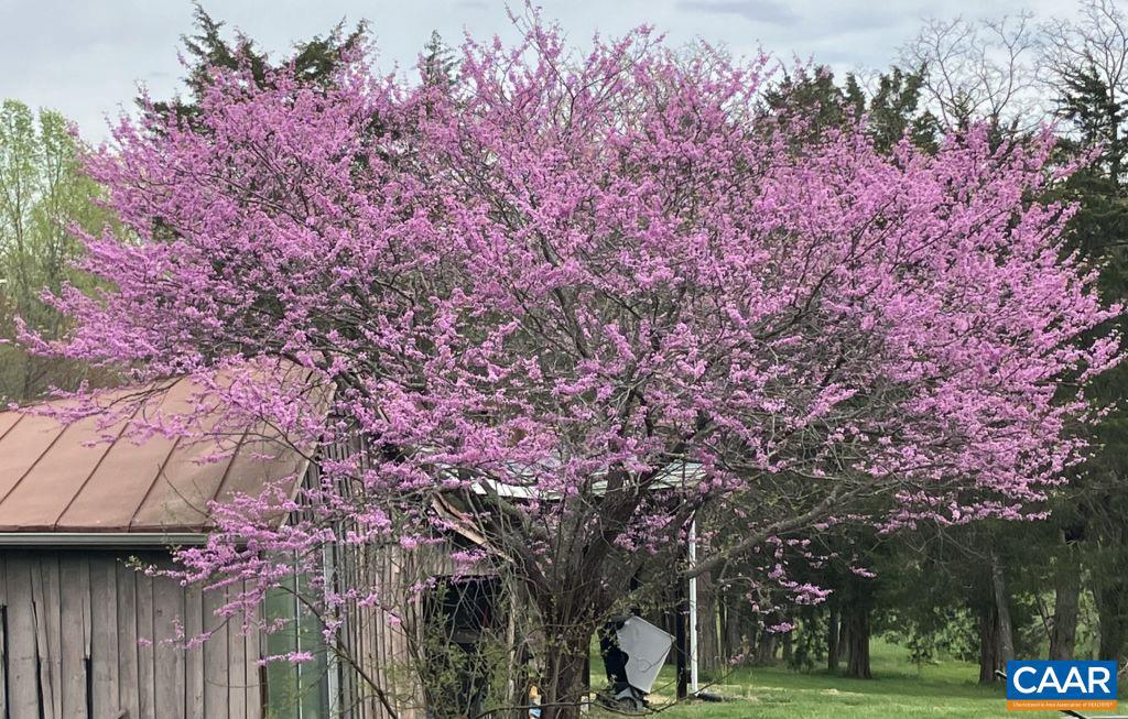 877 HOLLAND CREEK RD, LOUISA, Virginia 23093, 3 Bedrooms Bedrooms, ,3 BathroomsBathrooms,Residential,For Sale,877 HOLLAND CREEK RD,674091 MLS # 674091