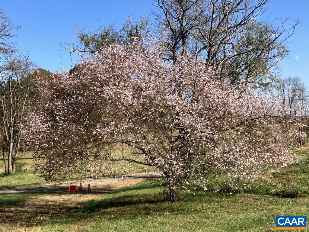 877 HOLLAND CREEK RD, LOUISA, Virginia 23093, 3 Bedrooms Bedrooms, ,3 BathroomsBathrooms,Residential,For Sale,877 HOLLAND CREEK RD,674091 MLS # 674091