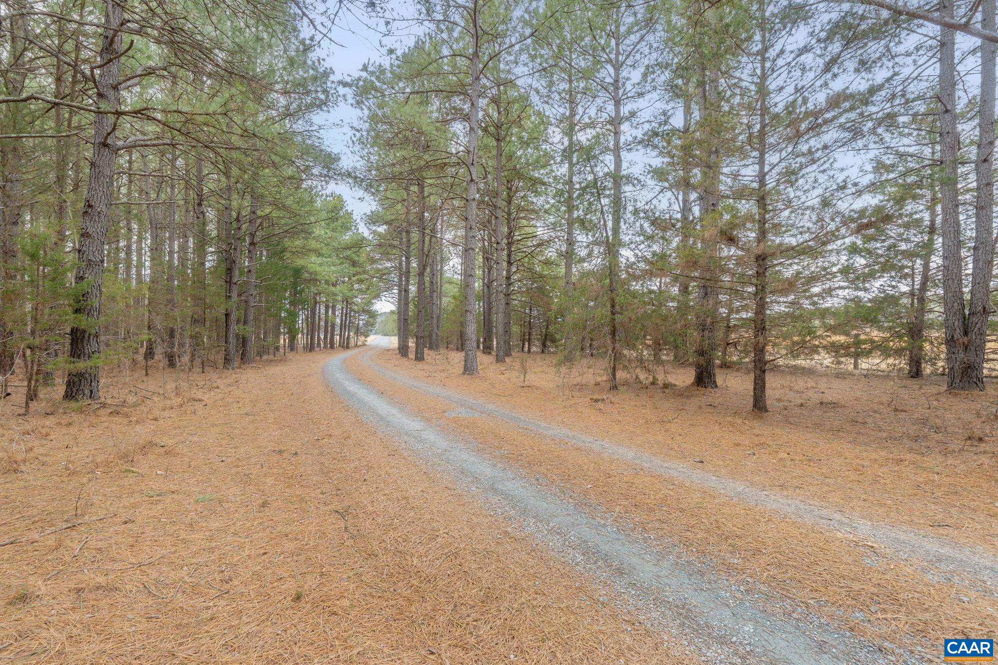 12048 LOUISA RD, GORDONSVILLE, Virginia 22942, 4 Bedrooms Bedrooms, ,4 BathroomsBathrooms,Residential,14,12048 LOUISA RD,674232 MLS # 674232