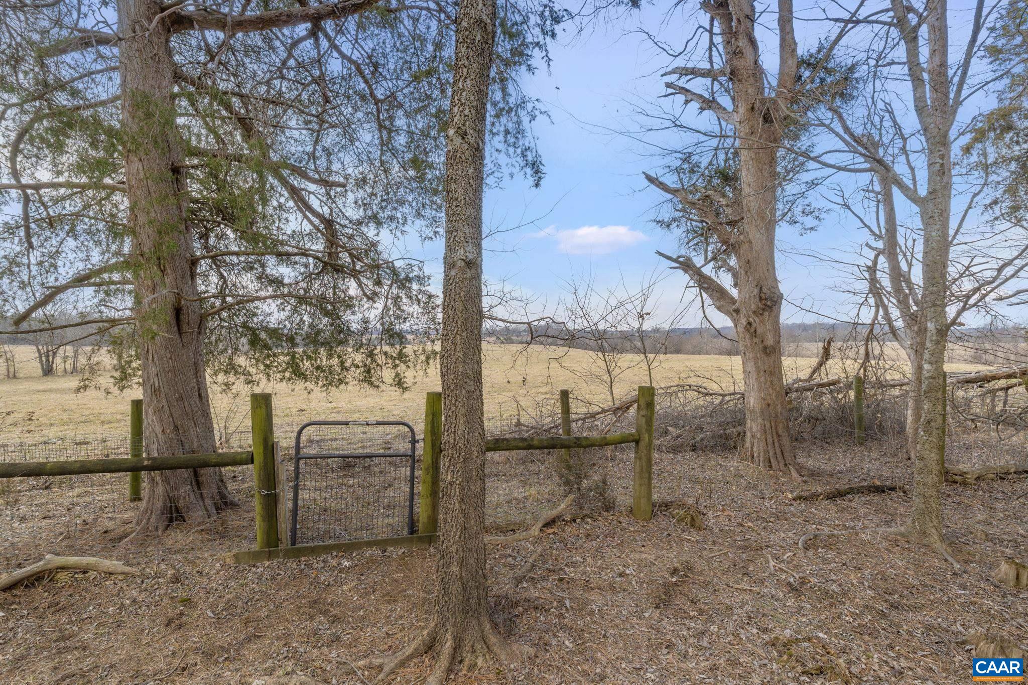 12048 LOUISA RD, GORDONSVILLE, Virginia 22942, 4 Bedrooms Bedrooms, ,4 BathroomsBathrooms,Residential,14,12048 LOUISA RD,674232 MLS # 674232