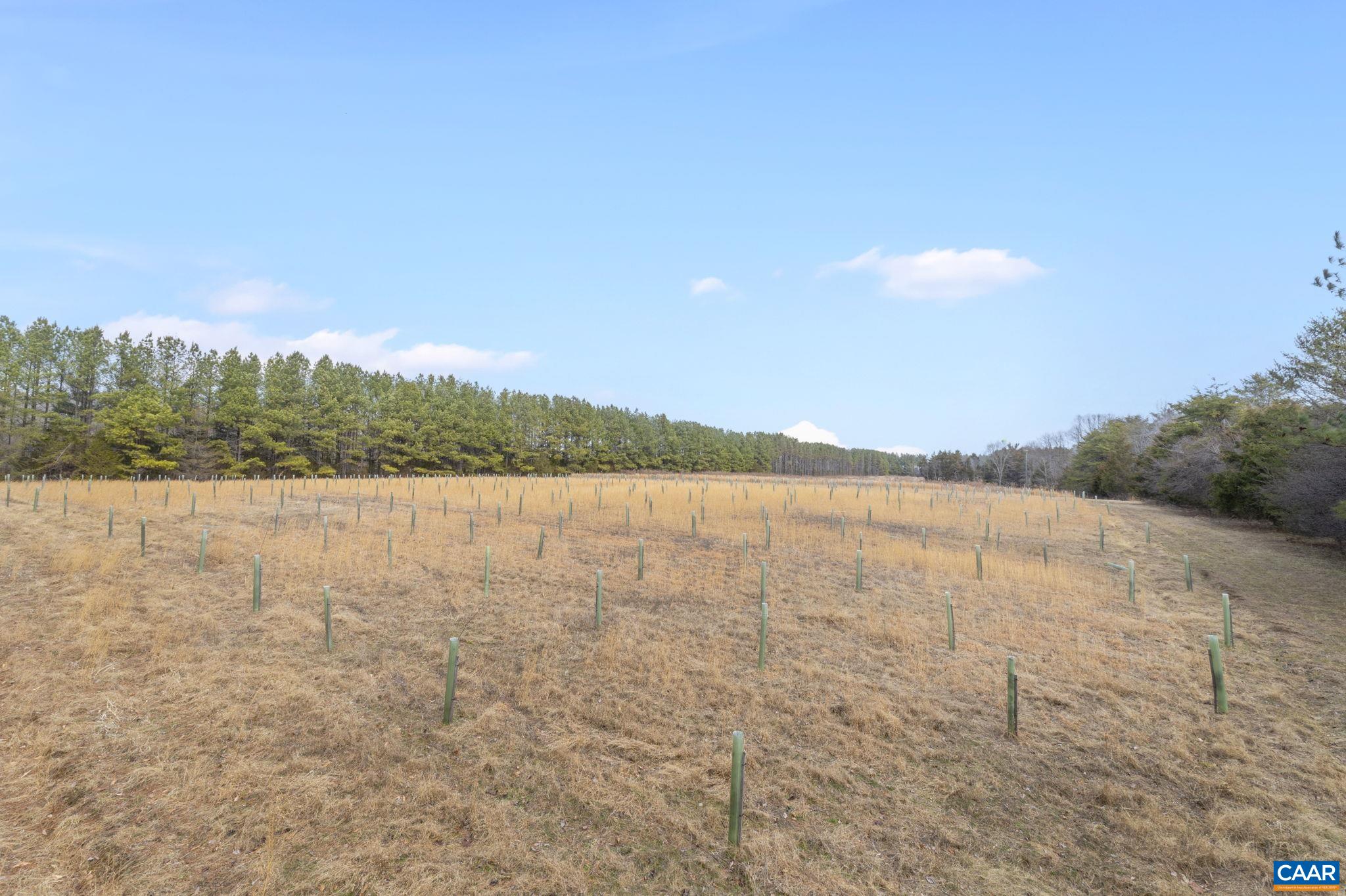 12048 LOUISA RD, GORDONSVILLE, Virginia 22942, 4 Bedrooms Bedrooms, ,4 BathroomsBathrooms,Residential,14,12048 LOUISA RD,674232 MLS # 674232