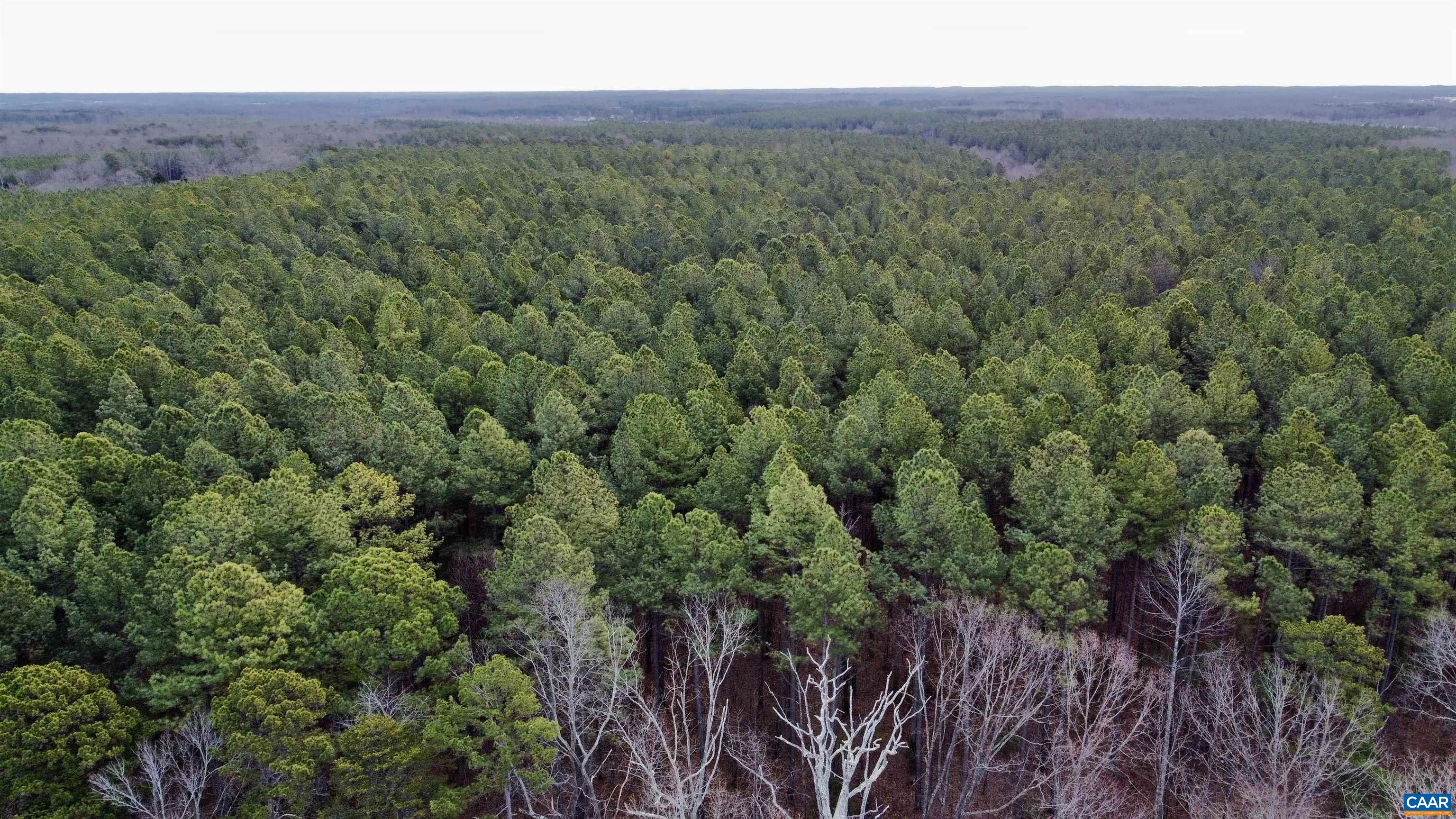 0 GREEN SPRING RD, LOUISA, Virginia 22942, ,Farm,14,0 GREEN SPRING RD,674251 MLS # 674251