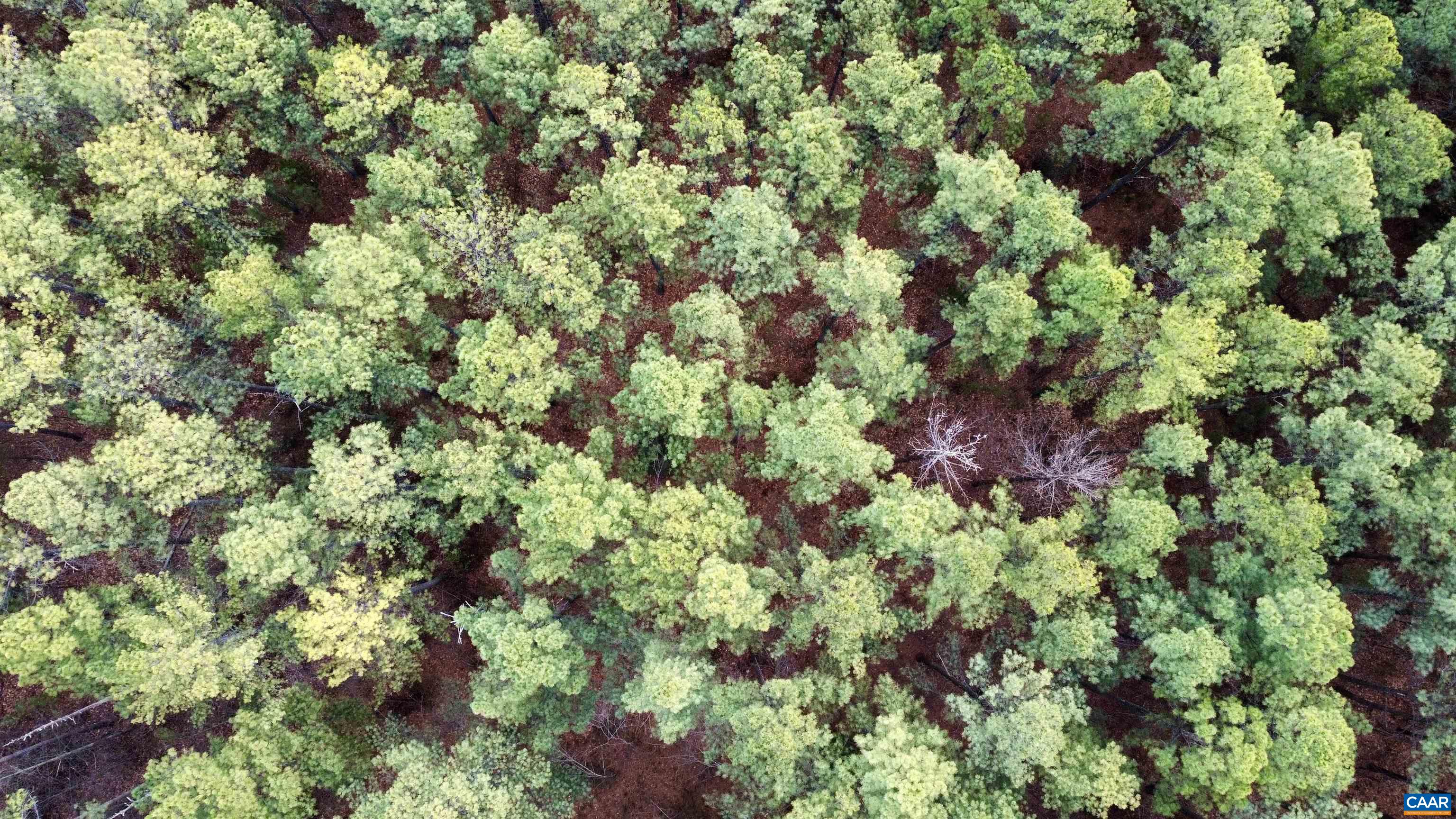 0 GREEN SPRING RD, LOUISA, Virginia 22942, ,Farm,14,0 GREEN SPRING RD,674251 MLS # 674251