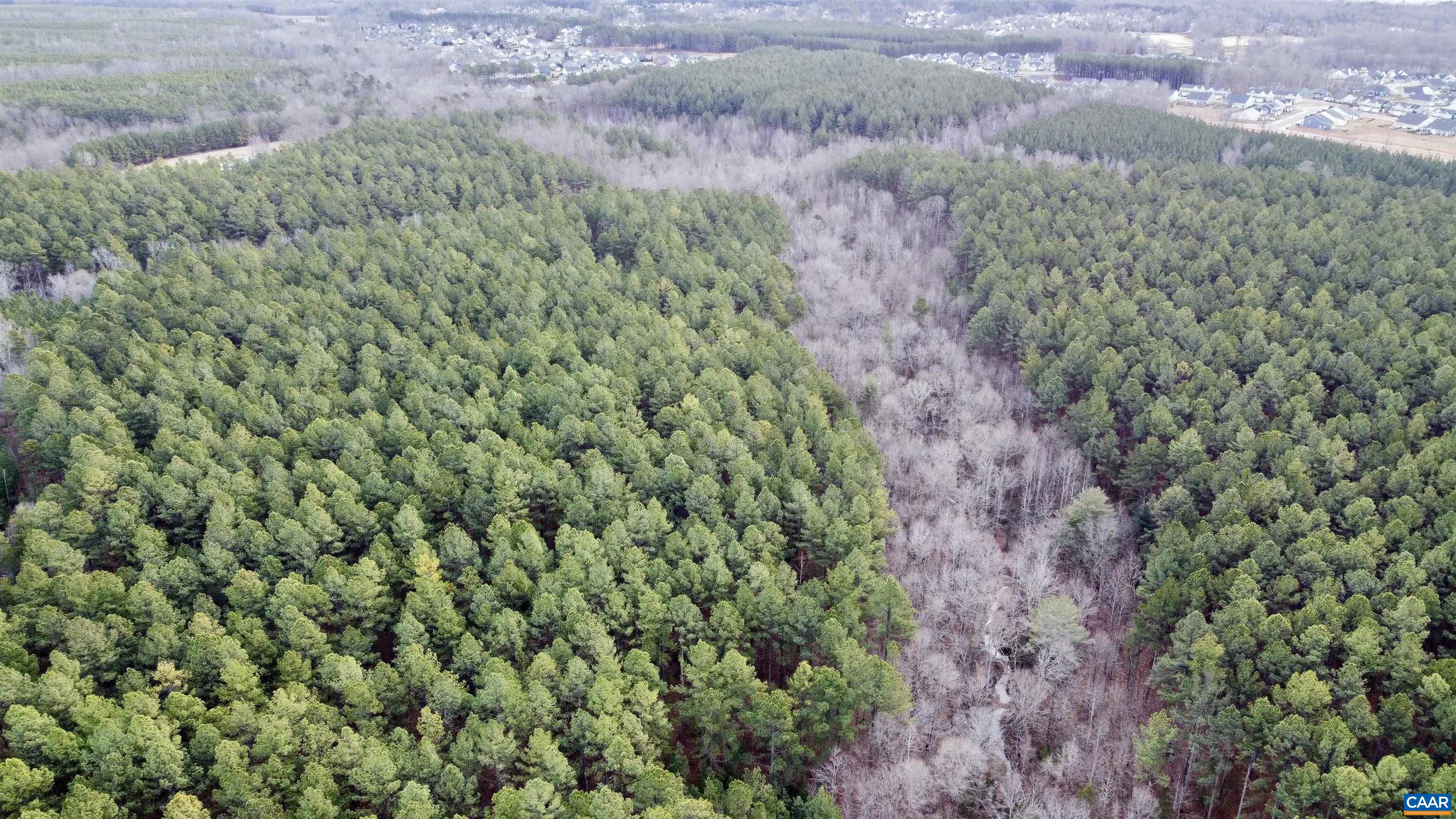 0 GREEN SPRING RD, LOUISA, Virginia 22942, ,Farm,14,0 GREEN SPRING RD,674251 MLS # 674251