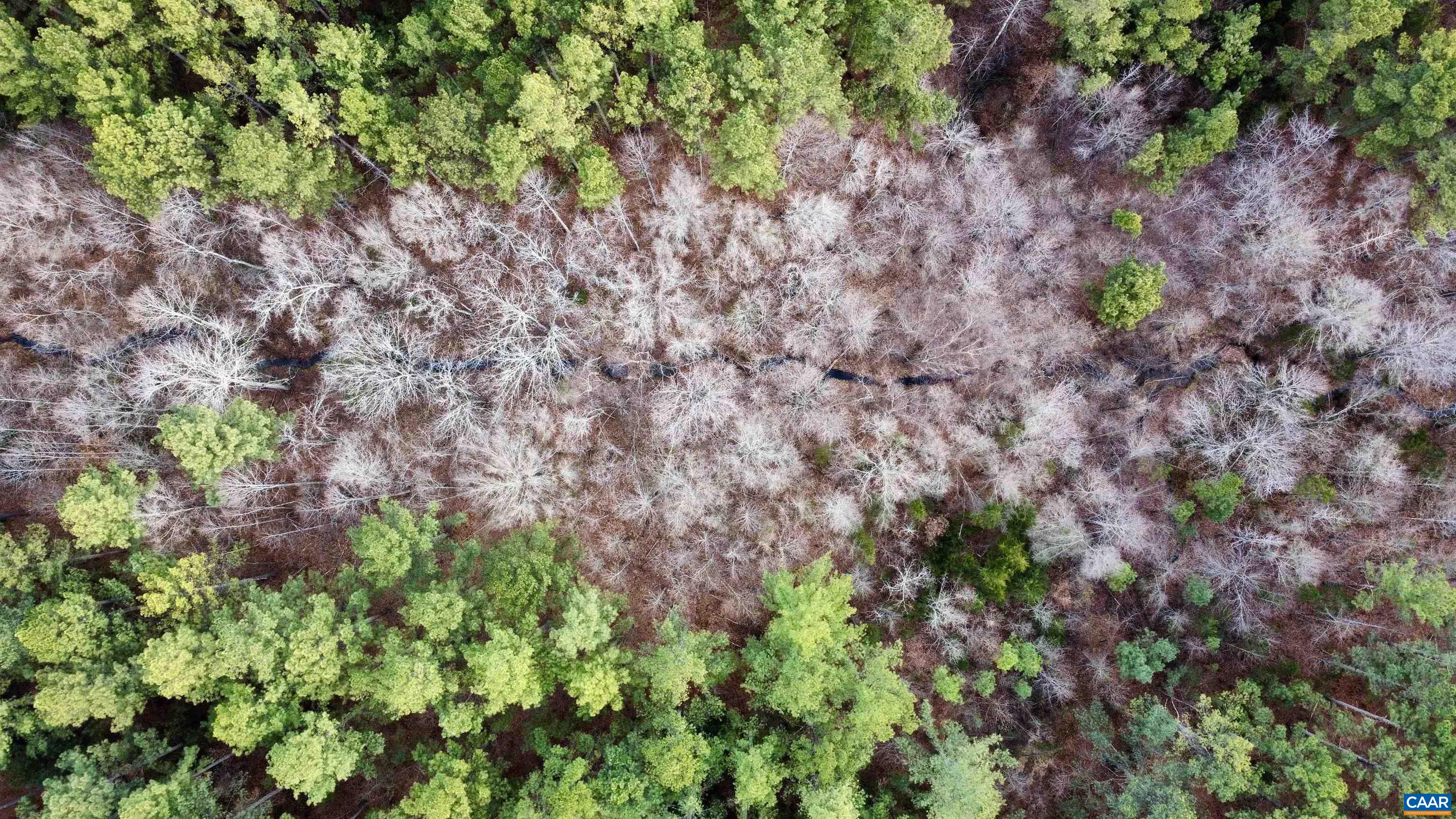 0 GREEN SPRING RD, LOUISA, Virginia 22942, ,Farm,14,0 GREEN SPRING RD,674251 MLS # 674251