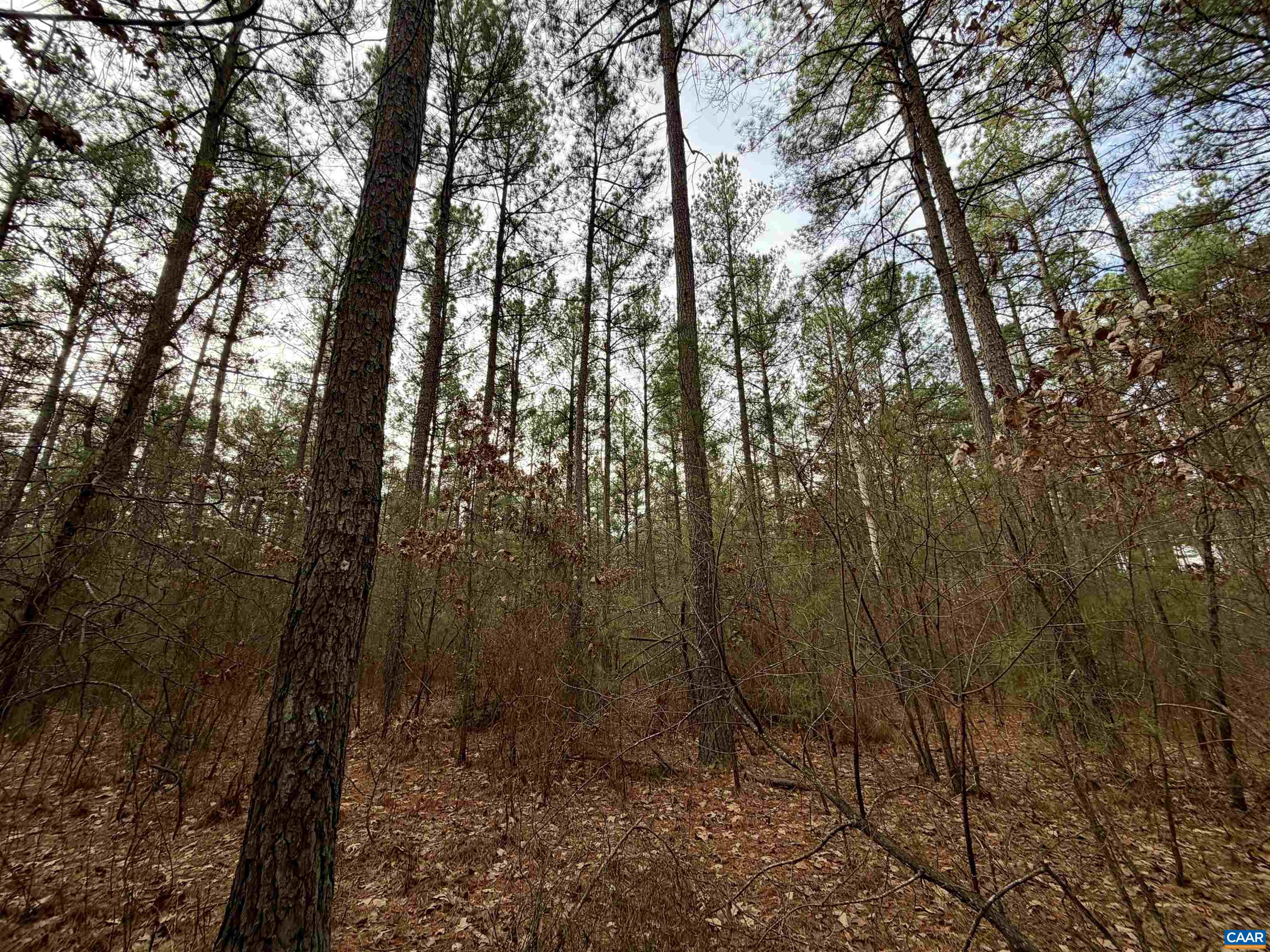 0 GREEN SPRING RD, LOUISA, Virginia 22942, ,Farm,14,0 GREEN SPRING RD,674251 MLS # 674251