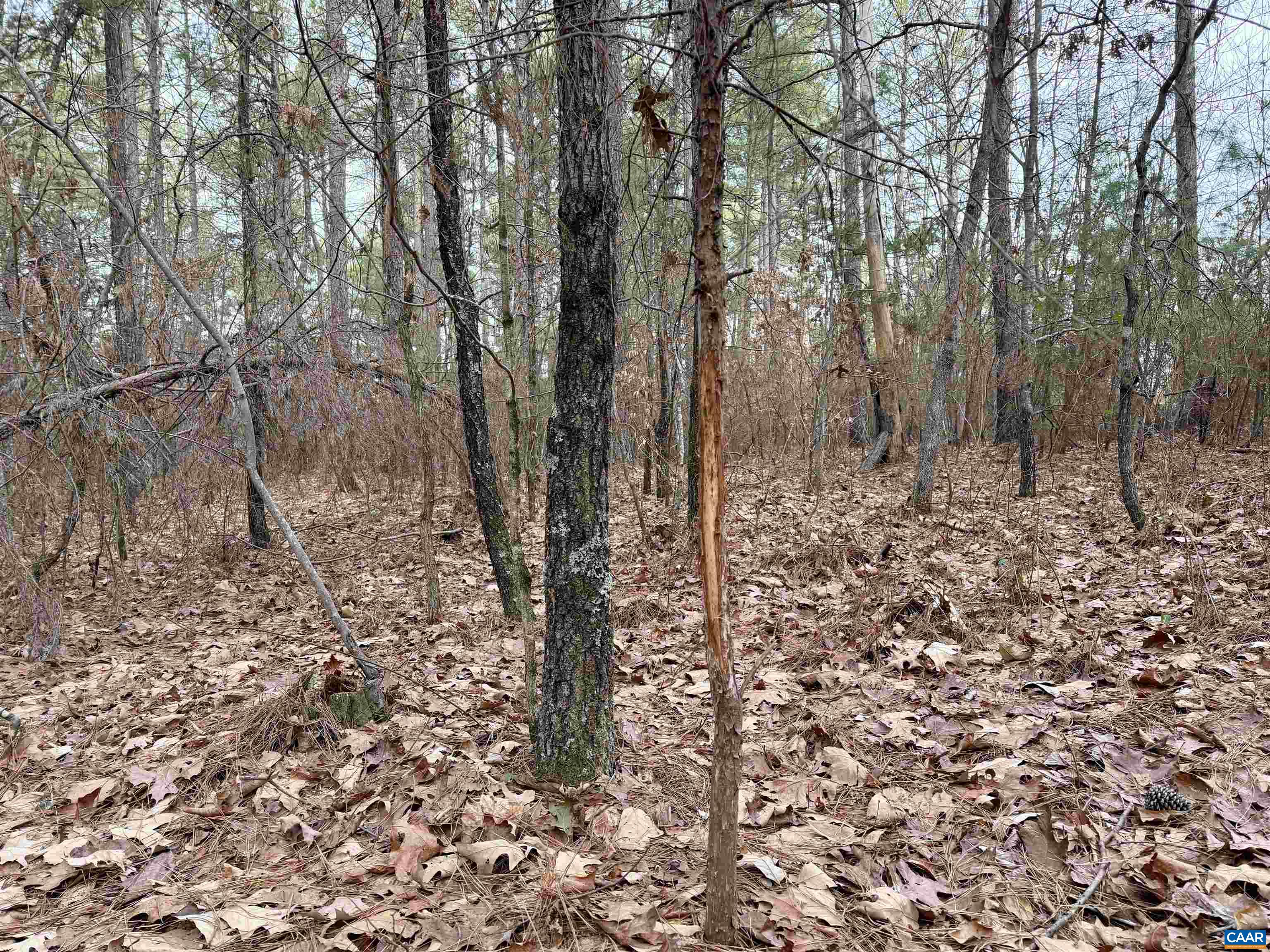 0 GREEN SPRING RD, LOUISA, Virginia 22942, ,Farm,14,0 GREEN SPRING RD,674251 MLS # 674251