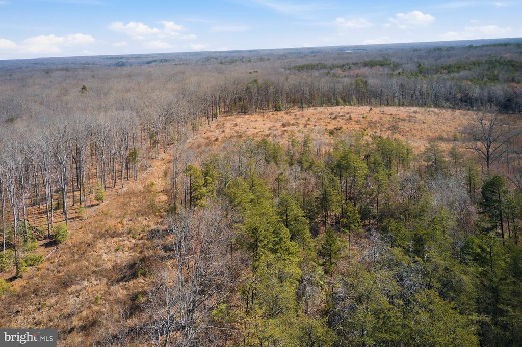 402 OAK GROVE DR, MINERAL, Virginia 23117, ,Land,14,402 OAK GROVE DR,VALA2009442 MLS # VALA2009442