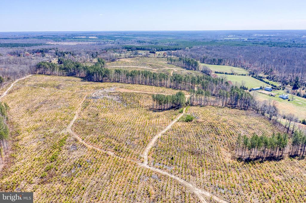 YELLOWBOTTOM RD, LIGNUM, Virginia 22726, ,Farm,14,YELLOWBOTTOM RD,VACU2010188 MLS # VACU2010188