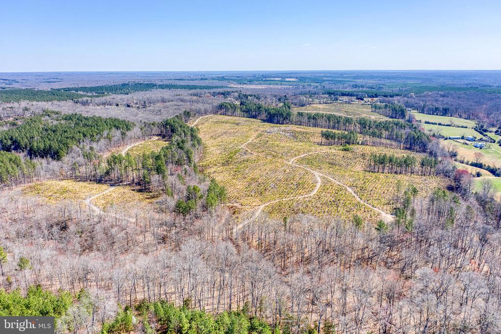 YELLOWBOTTOM RD, LIGNUM, Virginia 22726, ,Farm,14,YELLOWBOTTOM RD,VACU2010188 MLS # VACU2010188