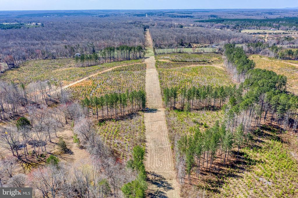 YELLOWBOTTOM RD, LIGNUM, Virginia 22726, ,Farm,14,YELLOWBOTTOM RD,VACU2010188 MLS # VACU2010188