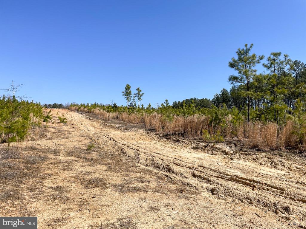 YELLOWBOTTOM RD, LIGNUM, Virginia 22726, ,Farm,14,YELLOWBOTTOM RD,VACU2010188 MLS # VACU2010188