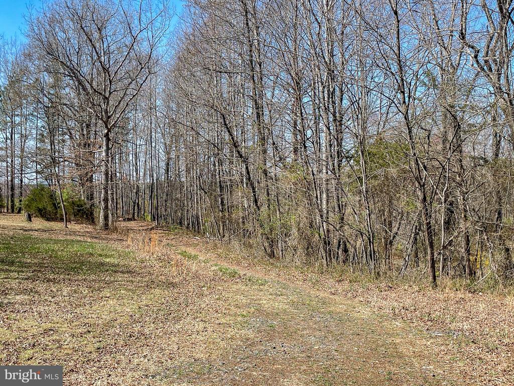 YELLOWBOTTOM RD, LIGNUM, Virginia 22726, ,Farm,14,YELLOWBOTTOM RD,VACU2010188 MLS # VACU2010188