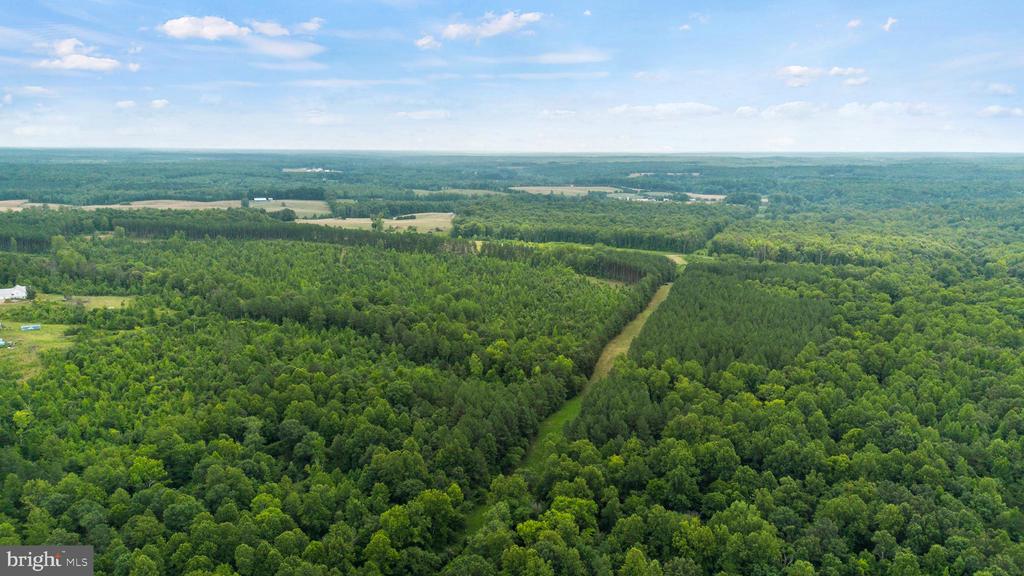 362 DELL PERKINS RD, LOUISA, Virginia 23093, 5 Bedrooms Bedrooms, ,3 BathroomsBathrooms,Residential,14,362 DELL PERKINS RD,VALA2009324 MLS # VALA2009324