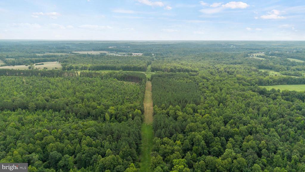 362 DELL PERKINS RD, LOUISA, Virginia 23093, 5 Bedrooms Bedrooms, ,3 BathroomsBathrooms,Residential,14,362 DELL PERKINS RD,VALA2009324 MLS # VALA2009324