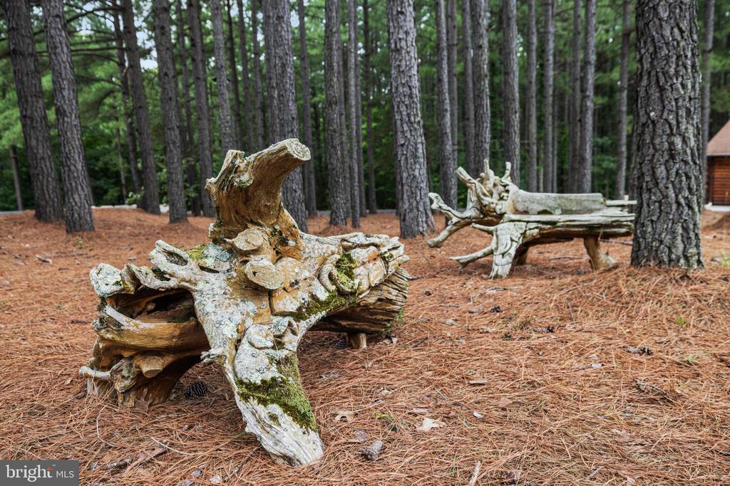 362 DELL PERKINS RD, LOUISA, Virginia 23093, 5 Bedrooms Bedrooms, ,3 BathroomsBathrooms,Residential,14,362 DELL PERKINS RD,VALA2009324 MLS # VALA2009324