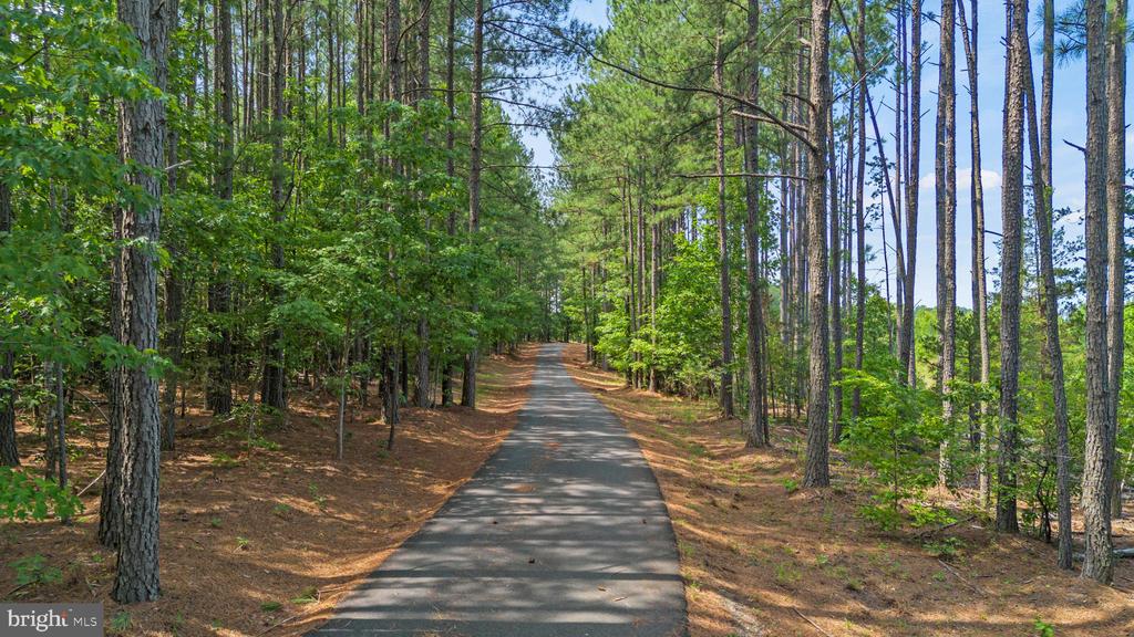 362 DELL PERKINS RD, LOUISA, Virginia 23093, 5 Bedrooms Bedrooms, ,3 BathroomsBathrooms,Residential,14,362 DELL PERKINS RD,VALA2009324 MLS # VALA2009324