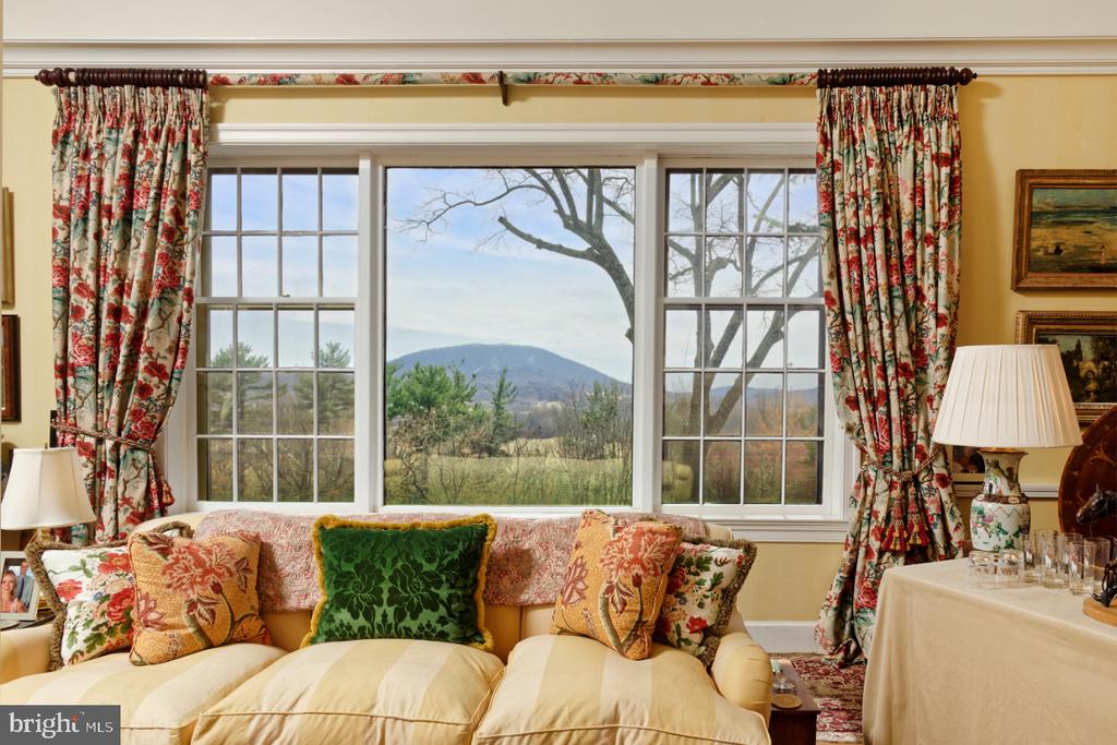 4392 CARRINGTON RD, MARKHAM, Virginia, 4 Bedrooms Bedrooms, ,4 BathroomsBathrooms,Residential,14,4392 CARRINGTON RD,VAFQ2020754 MLS # VAFQ2020754