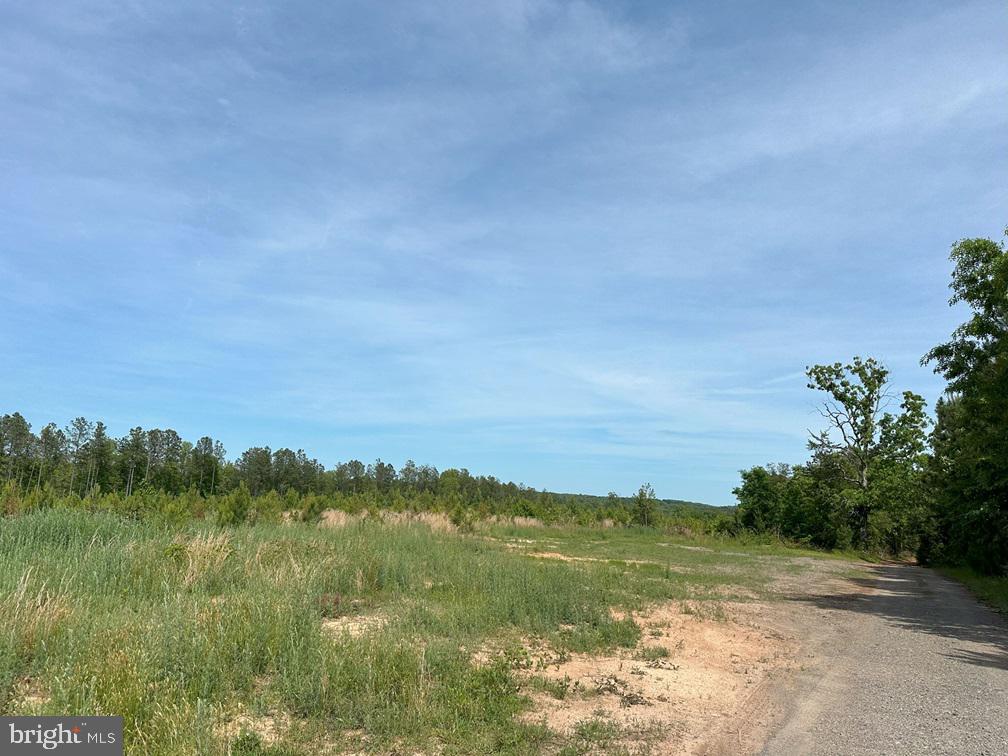 WEST RIVER ROAD (RT. 6) (TRACT: JR C.B. MOON-1), SCOTTSVILLE, Virginia 24590, ,Farm,14,WEST RIVER ROAD (RT. 6) (TRACT: JR C.B. MOON-1),VAFN2000634 MLS # VAFN2000634