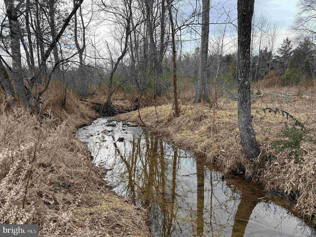 WEST RIVER ROAD (RT. 6) (TRACT: JR C.B. MOON-1), SCOTTSVILLE, Virginia 24590, ,Farm,14,WEST RIVER ROAD (RT. 6) (TRACT: JR C.B. MOON-1),VAFN2000634 MLS # VAFN2000634