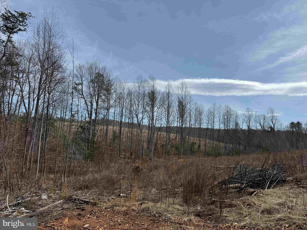 WEST RIVER ROAD (RT. 6) (TRACT: JR C.B. MOON-1), SCOTTSVILLE, Virginia 24590, ,Farm,14,WEST RIVER ROAD (RT. 6) (TRACT: JR C.B. MOON-1),VAFN2000634 MLS # VAFN2000634